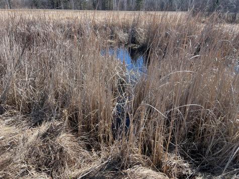 Hwy 133 Hwy # 133 Meadowlands MN 55765