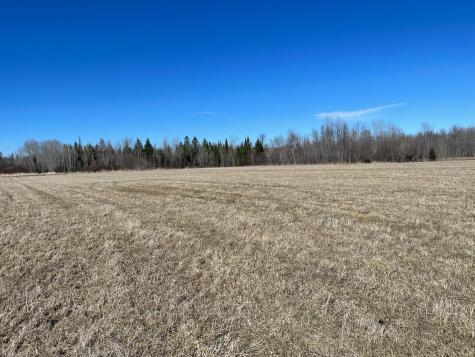 Hwy 133 Hwy # 133 Meadowlands MN 55765