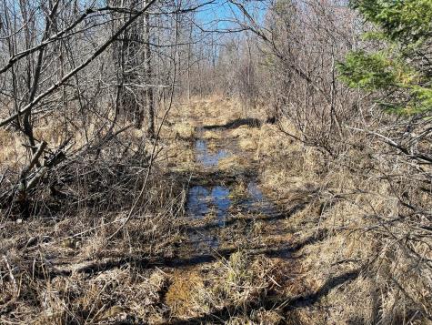 Hwy 133 Hwy # 133 Meadowlands MN 55765