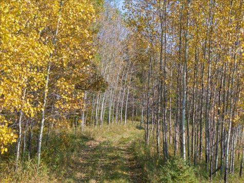 Tbd State 64 Akeley MN 56433