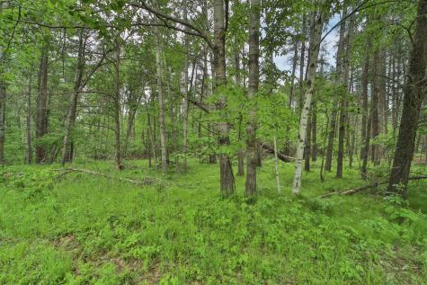 Lot 15 Cedar Street Breezy Point MN 56472