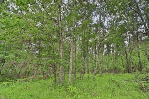 Lot 15 Cedar Street Breezy Point MN 56472