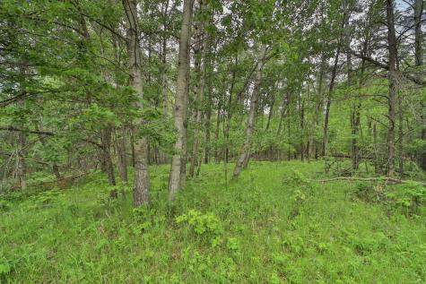 Lot 15 Cedar Street Breezy Point MN 56472