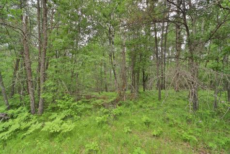 Lot 15 Cedar Street Breezy Point MN 56472
