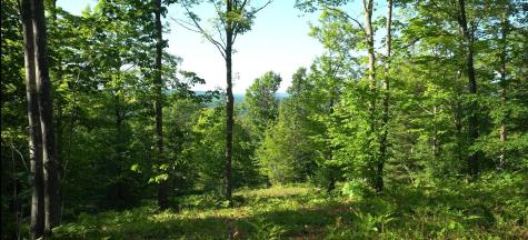 83xxx - Lot 13 Ashwabay Road Bayfield WI 54814