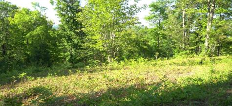 83xxx - Lot 13 Ashwabay Road Bayfield WI 54814