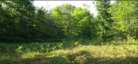 83XXX - Lot 13 Ashwabay Road Bayfield WI 54814