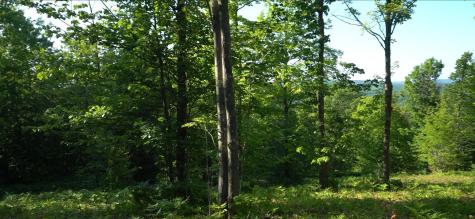 83XXX - Lot 13 Ashwabay Road Bayfield WI 54814