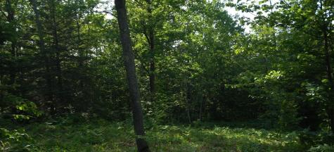83XXX - Lot 13 Ashwabay Road Bayfield WI 54814