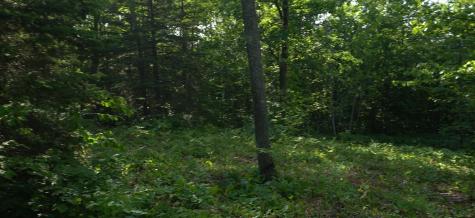 83XXX - Lot 13 Ashwabay Road Bayfield WI 54814