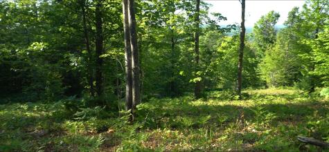 83XXX - Lot 13 Ashwabay Road Bayfield WI 54814