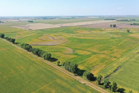 Tbd County 8 Campbell MN 56522