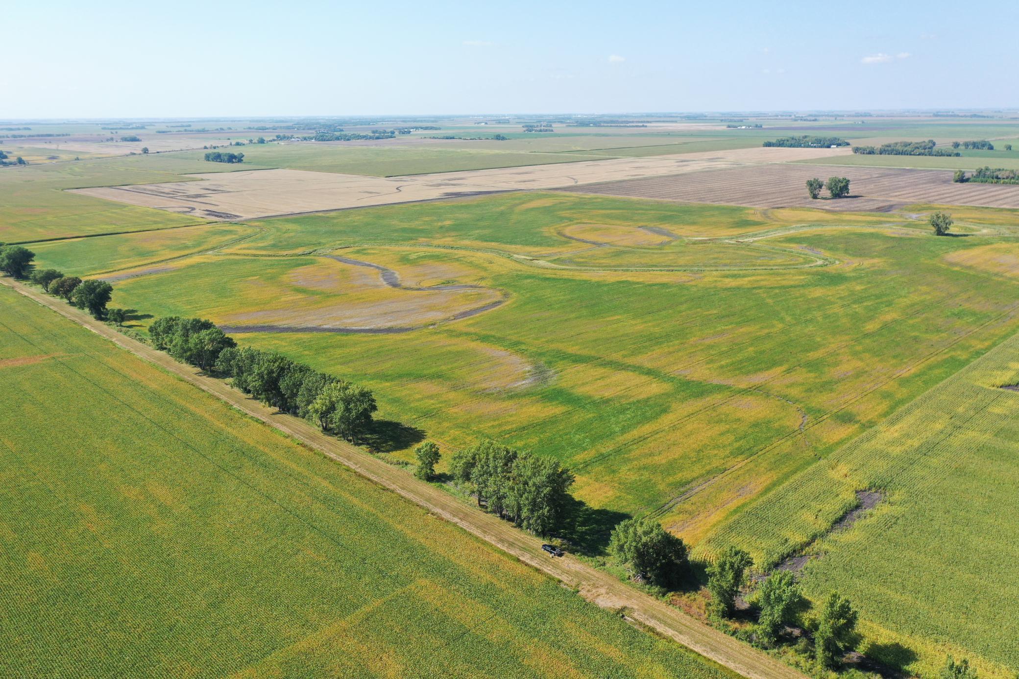 Tbd County 8 Campbell MN 56522