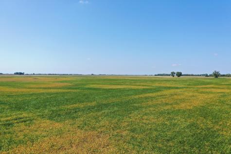 Tbd County 8 Campbell MN 56522