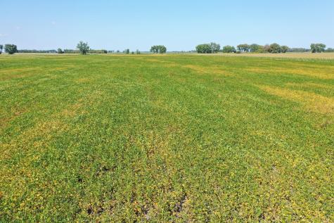 Tbd County 8 Campbell MN 56522