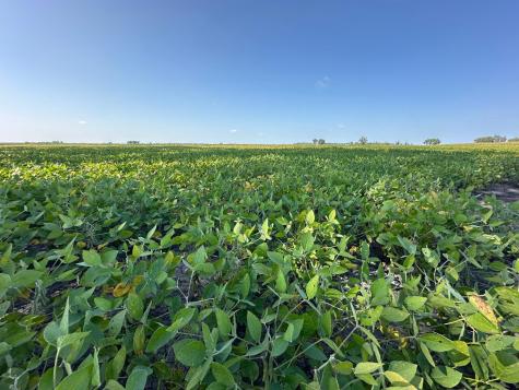 Tbd County 8 Campbell MN 56522