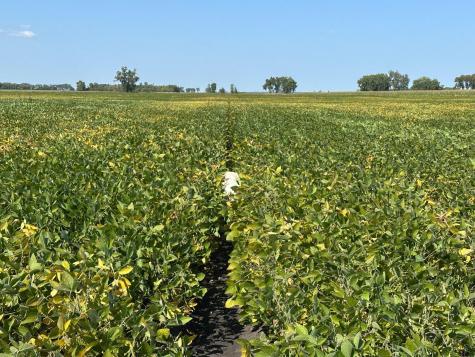 Tbd County 8 Campbell MN 56522