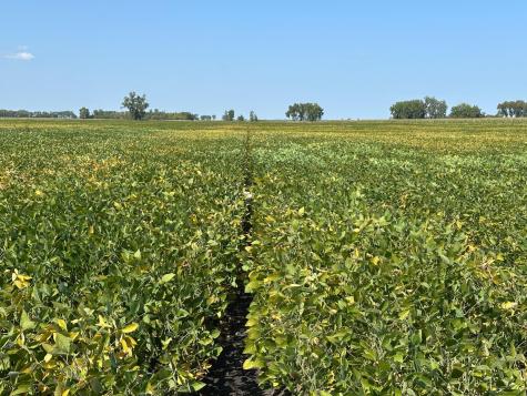 Tbd County 8 Campbell MN 56522