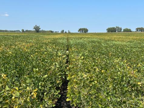 Tbd County 8 Campbell MN 56522