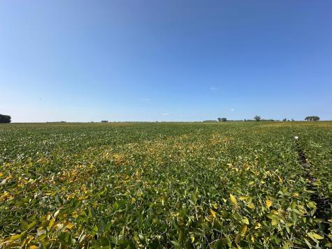 Tbd County 8 Campbell MN 56522