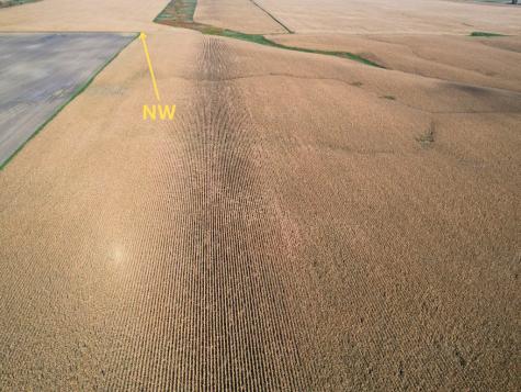 Na Highway 12 SW Appleton MN 56208