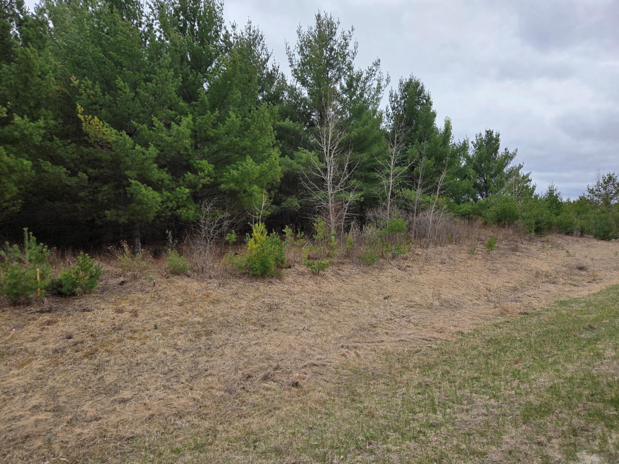 Tbd 450th St - Parcel C Laporte MN 56461