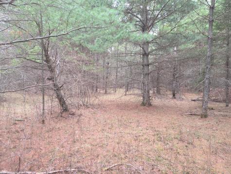 Tbd 450th St - Parcel C Laporte MN 56461