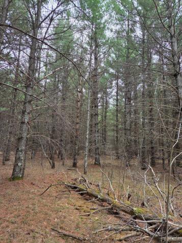 Tbd 450th St - Parcel C Laporte MN 56461