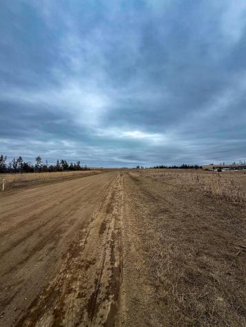 Tbd Greenleaf Avenue Bemidji MN 56601
