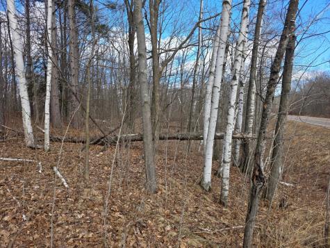 00 Highway W Weyerhaeuser WI 54895