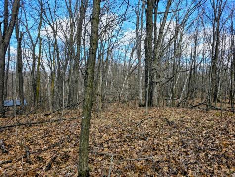 00 Highway W Weyerhaeuser WI 54895