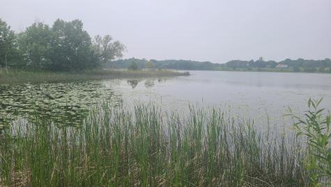 26373 Anna Lake Road Underwood MN 56586