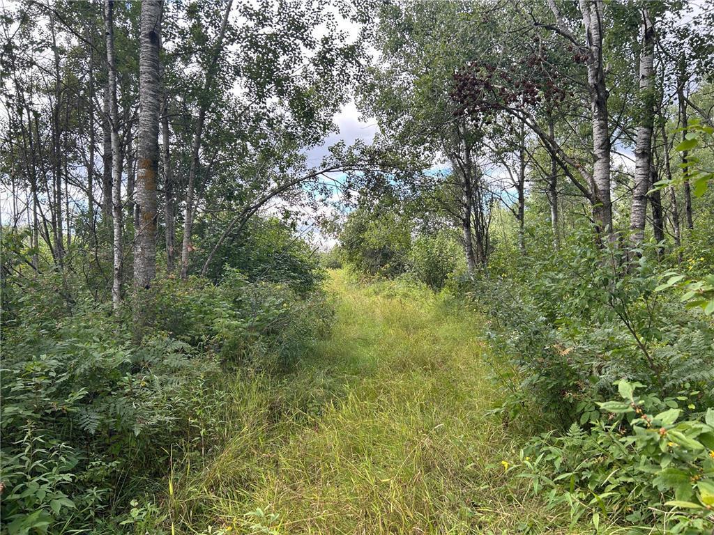 TBD2 Duncan Road Sandstone MN 55072