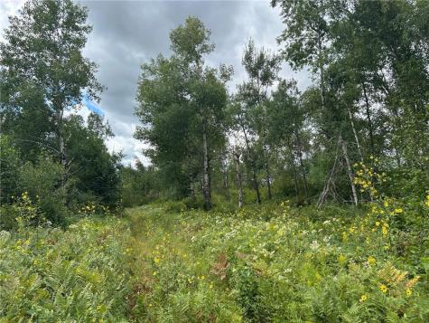 TBD2 Duncan Road Sandstone MN 55072