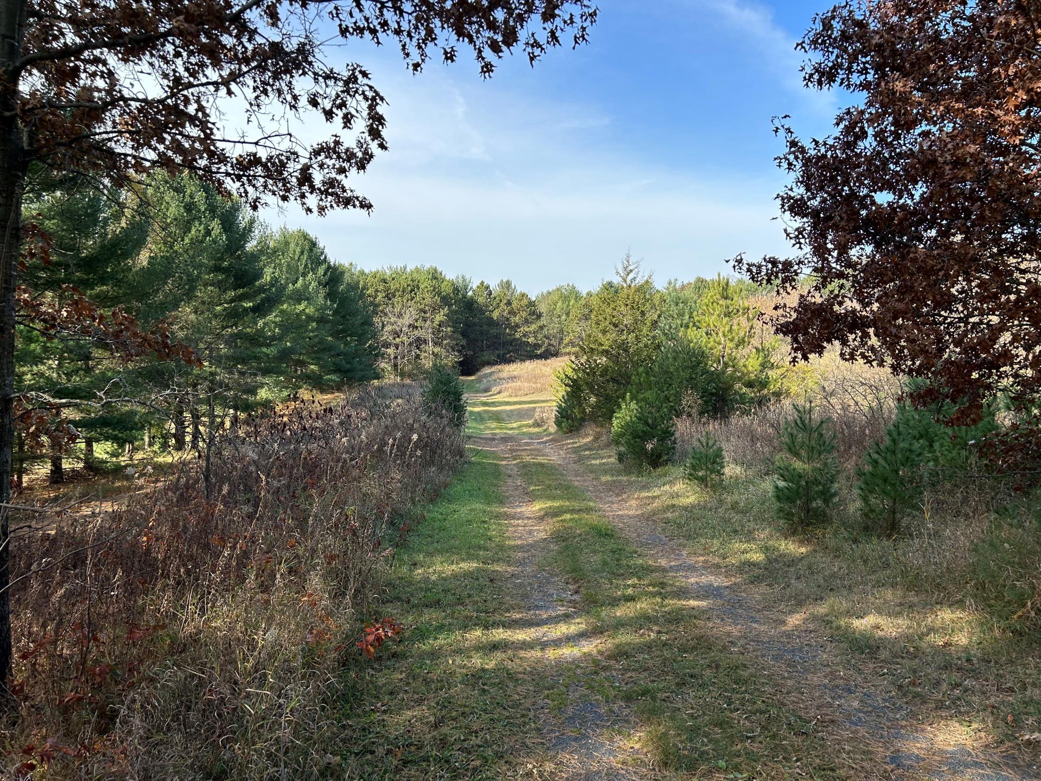 1888 80th Street Somerset WI 54025