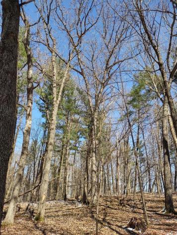 Lot 35 N4xx 297th Street Eau Galle WI 54737