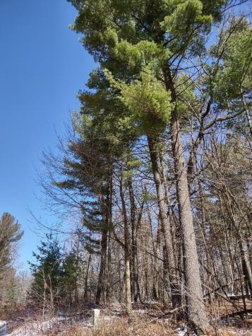Lot 35 N4xx 297th Street Eau Galle WI 54737