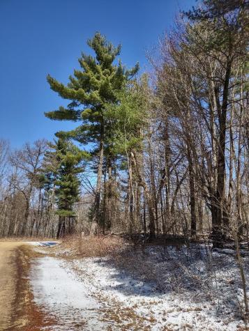 Lot 35 N4xx 297th Street Eau Galle WI 54737