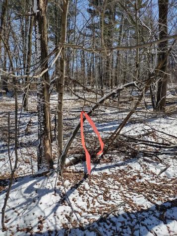 Lot 35 N4xx 297th Street Eau Galle WI 54737