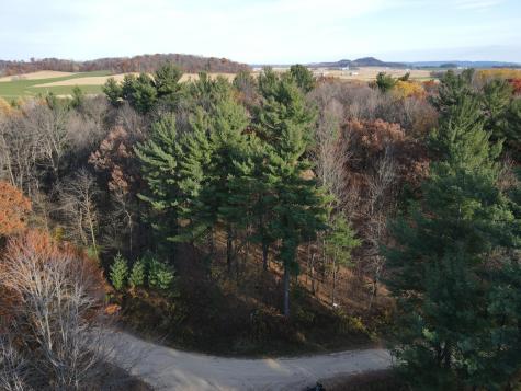 Lot 35 N4xx 297th Street Eau Galle WI 54737