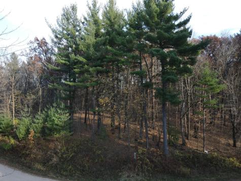 Lot 35 N4xx 297th Street Eau Galle WI 54737