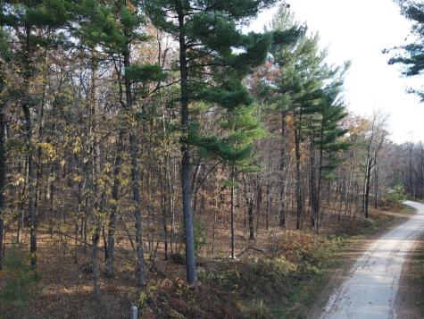 Lot 35 N4xx 297th Street Eau Galle WI 54737