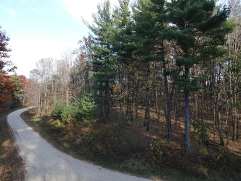 Lot 35 N4xx 297th Street Eau Galle WI 54737