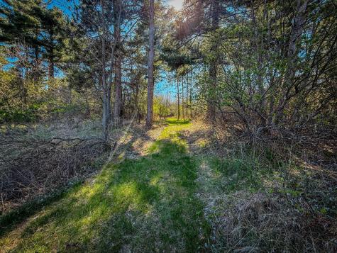 Xxx County 14 Boulevard Cannon Falls MN 55009