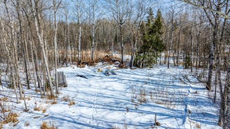 25780 Liliput Lane NE Waskish MN 56685