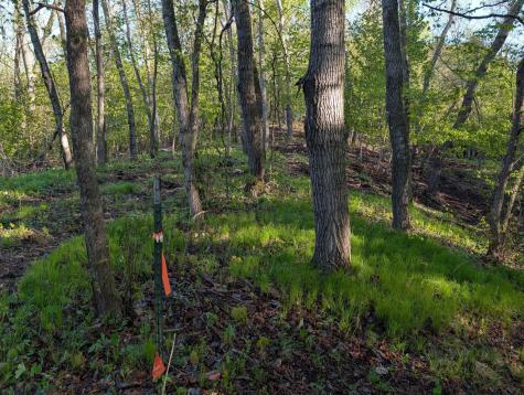 34344 405th Avenue Richville MN 56576