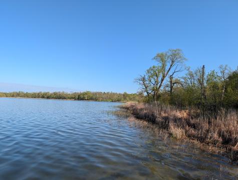 34344 405th Avenue Richville MN 56576