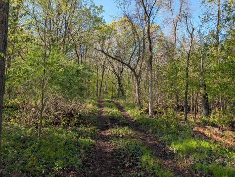 34344 405th Avenue Richville MN 56576