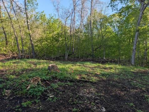 34344 405th Avenue Richville MN 56576