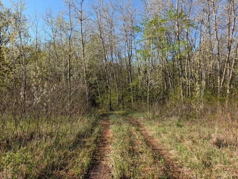 34344 405th Avenue Richville MN 56576